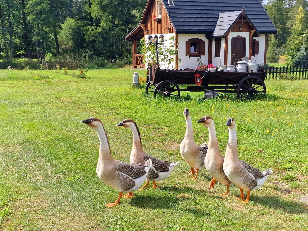 Casa Del Campo 1 Villa Gasno Kültér fotó